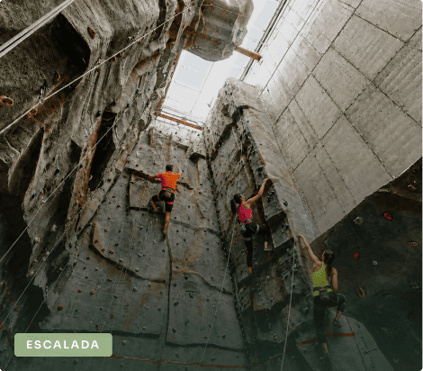 Container9 (1)